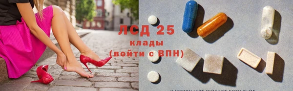 ГАЛЛЮЦИНОГЕННЫЕ ГРИБЫ Алексин