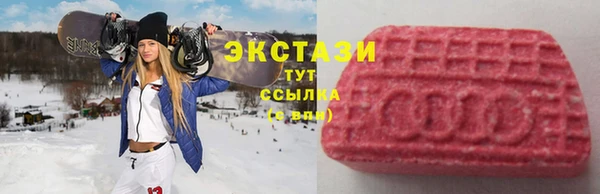 тгк Медногорск