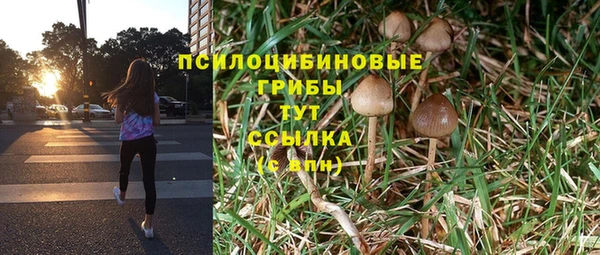 прущая мука Магадан