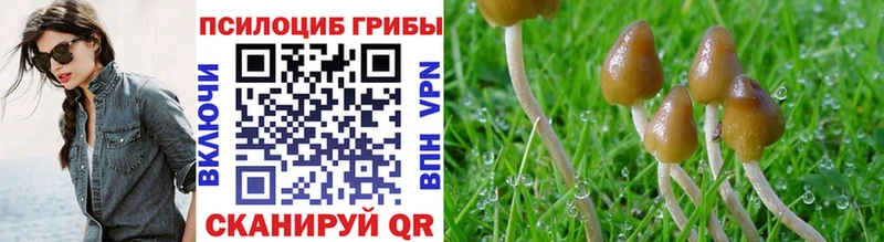 Галлюциногенные грибы ЛСД Завитинск